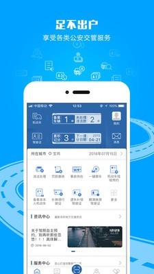 交管12123app正版下载  v2.4.8图2